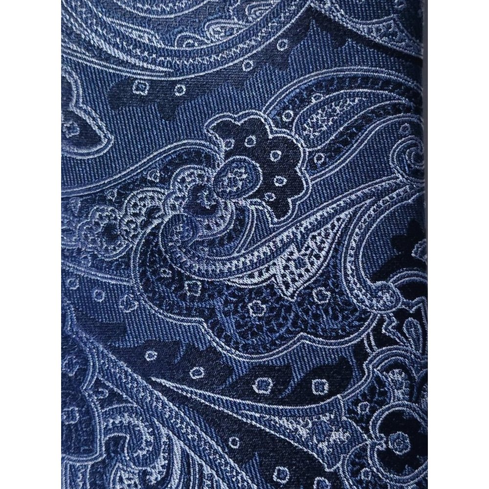 Tasso Elba Men's Cavour Paisley Tie One Size MSRP $60 897/A5